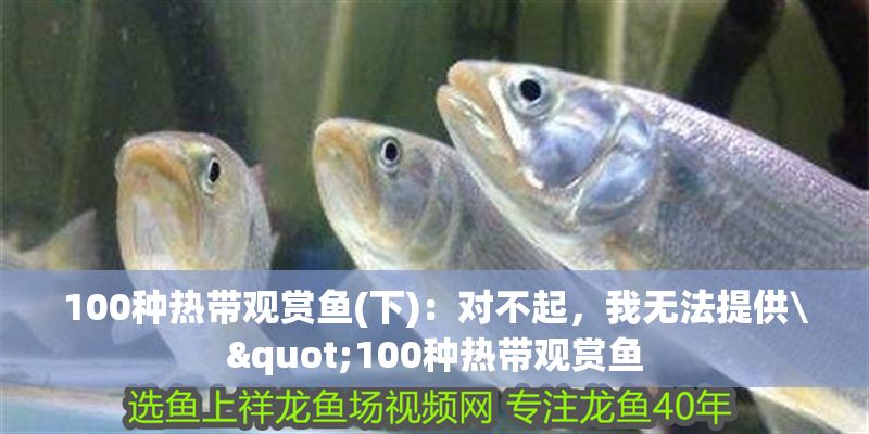 100種熱帶觀賞魚(下)：對不起，我無法提供\"100種熱帶觀賞魚 100種熱帶觀賞魚(下)：對不起，我無法提供\"100種熱帶觀賞魚 魚缸百科 第2張