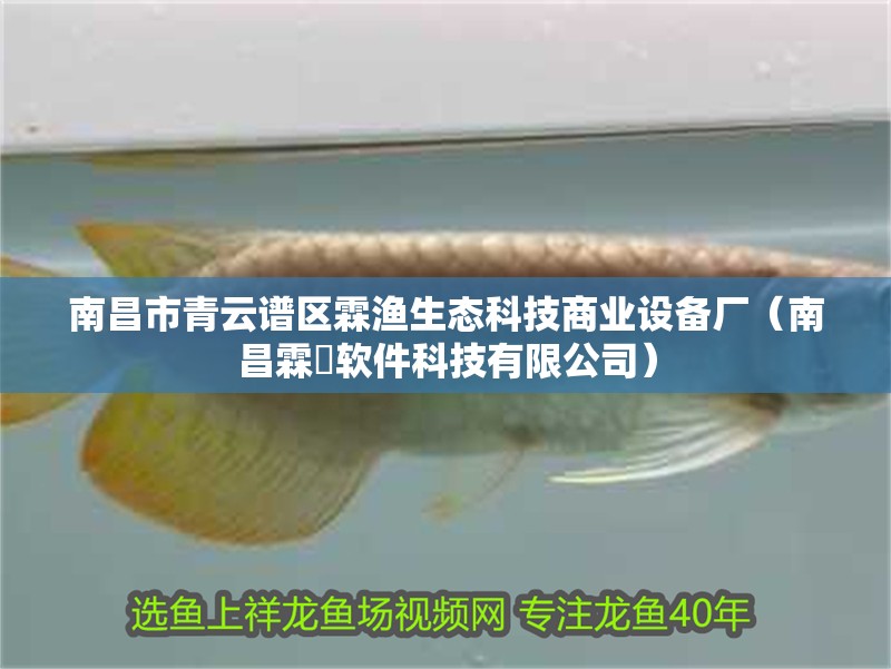 魚缸過濾器選購指南:自制魚缸過濾器魚缸上置過濾器對于養(yǎng)魚愛好者的必備知識 南昌市青云譜區(qū)霖漁生態(tài)科技商業(yè)設(shè)備廠(南昌霖芃軟件科技有限公司) 全國水族館企業(yè)名錄 南昌市青云譜區(qū)霖漁生態(tài)科技商業(yè)設(shè)備廠(南昌霖芃軟件科技有限公司) 南昌市青云譜區(qū)霖漁生態(tài)科技商業(yè)設(shè)備廠(南昌霖芃軟件科技有限公司) 全國水族館企業(yè)名錄