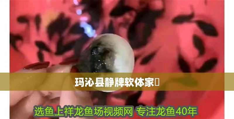 魚缸用增氧泵價格是多少:魚缸增氧機-xtrac增氧機-xtrac增氧機 瑪沁縣靜牌軟體家俬 全國水族館企業(yè)名錄 瑪沁縣靜牌軟體家俬 瑪沁縣靜牌軟體家俬 全國水族館企業(yè)名錄