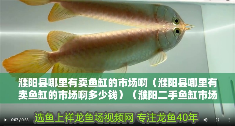 濮陽縣哪里有賣魚缸的市場啊（濮陽縣哪里有賣魚缸的市場啊多少錢）（濮陽二手魚缸市場） 濮陽縣哪里有賣魚缸的市場?。ㄥш柨h哪里有賣魚缸的市場啊多少錢）（濮陽二手魚缸市場） 魚缸百科