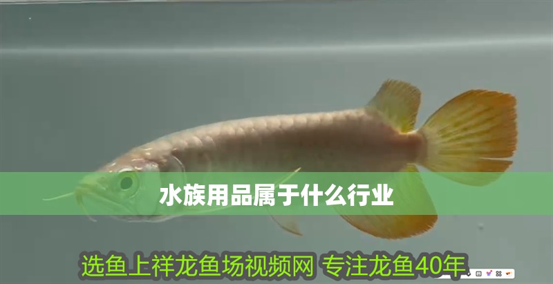 水族用品屬于什么行業