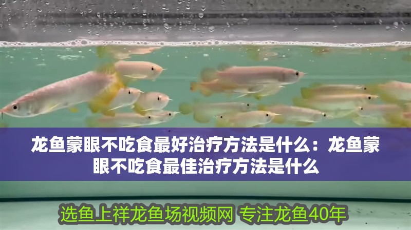 紅龍魚用黃燈烤有用嗎 龍魚蒙眼不吃食最好治療方法是什么:龍魚蒙眼不吃食最佳治療方法是什么 龍魚百科 龍魚蒙眼不吃食最好治療方法是什么:龍魚蒙眼不吃食最佳治療方法是什么 龍魚蒙眼不吃食最好治療方法是什么:龍魚蒙眼不吃食最佳治療方法是什么 龍魚百科