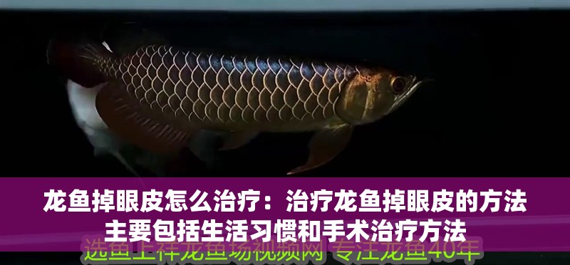 龍魚掉眼皮怎么治療：治療龍魚掉眼皮的方法主要包括生活習慣和手術治療方法