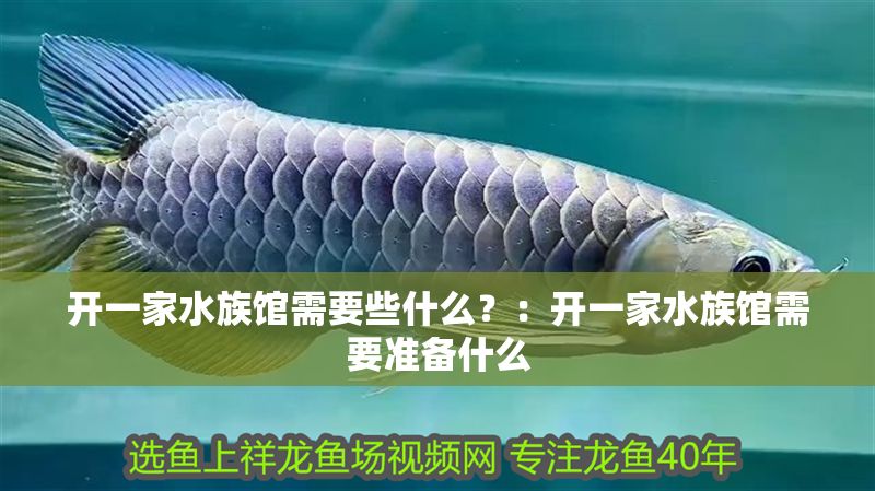 開(kāi)一家水族館需要些什么？：開(kāi)一家水族館需要準(zhǔn)備什么
