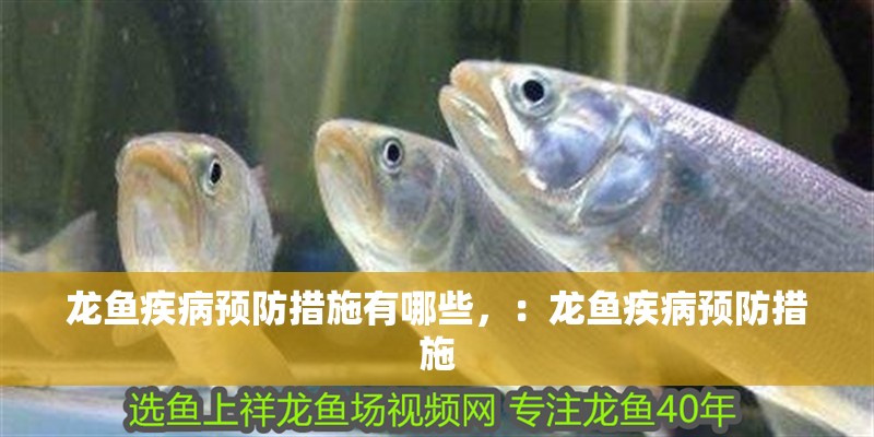 龍魚疾病預防措施有哪些，：龍魚疾病預防措施