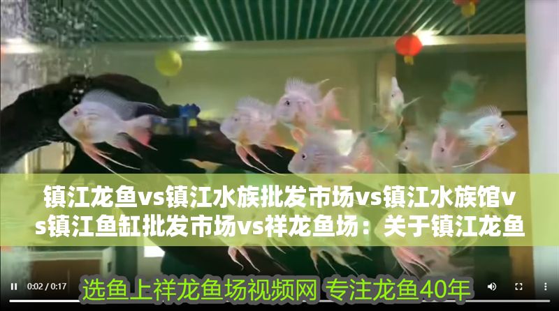 鎮(zhèn)江龍魚(yú)vs鎮(zhèn)江水族批發(fā)市場(chǎng)vs鎮(zhèn)江水族館vs鎮(zhèn)江魚(yú)缸批發(fā)市場(chǎng)vs祥龍魚(yú)場(chǎng)：關(guān)于鎮(zhèn)江龍魚(yú)、鎮(zhèn)江水族批發(fā)市場(chǎng)、祥龍魚(yú)場(chǎng)以及祥龍魚(yú)場(chǎng)的信息