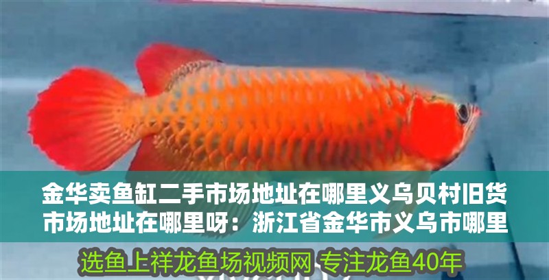 金華賣(mài)魚(yú)缸二手市場(chǎng)地址在哪里義烏貝村舊貨市場(chǎng)地址在哪里呀：浙江省金華市義烏市哪里有二手家具市場(chǎng)？