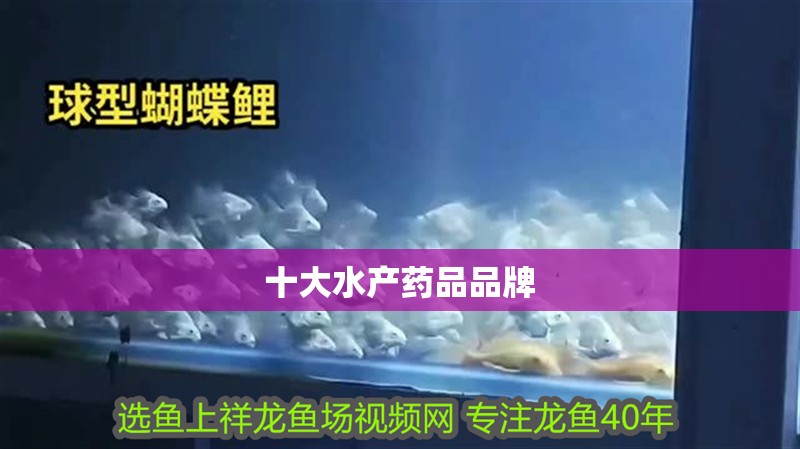 十大水產(chǎn)藥品品牌