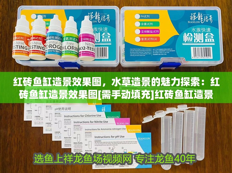 紅磚魚缸造景效果圖，水草造景的魅力探索：紅磚魚缸造景效果圖[需手動(dòng)填充]紅磚魚缸造景效果圖