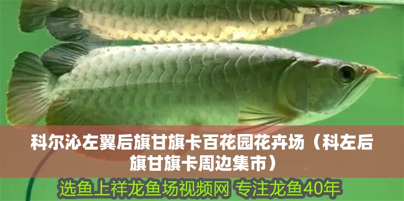 科爾沁左翼后旗甘旗卡百花園花卉場（科左后旗甘旗卡周邊集市）