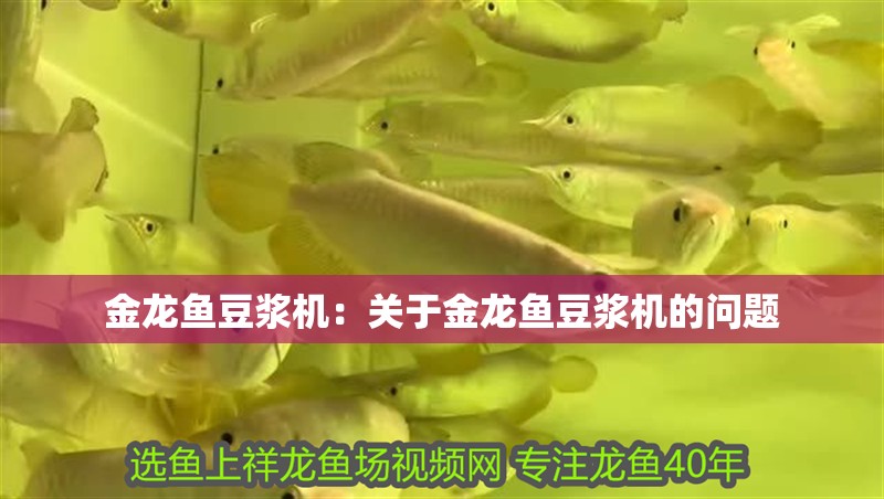 金龍魚豆?jié){機(jī)：關(guān)于金龍魚豆?jié){機(jī)的問(wèn)題