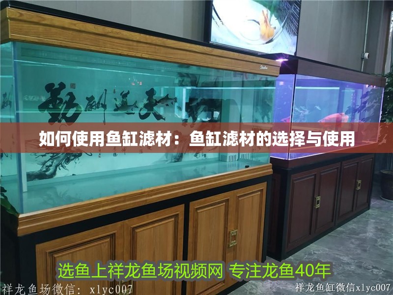 如何使用魚缸濾材：魚缸濾材的選擇與使用