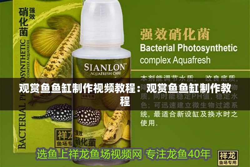 觀賞魚魚缸制作視頻教程：觀賞魚魚缸制作教程