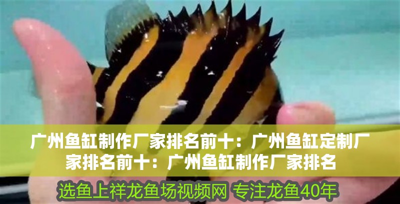 廣州魚缸制作廠家排名前十：廣州魚缸定制廠家排名前十：廣州魚缸制作廠家排名 廣州魚缸制作廠家排名前十：廣州魚缸定制廠家排名前十：廣州魚缸制作廠家排名 魚缸百科