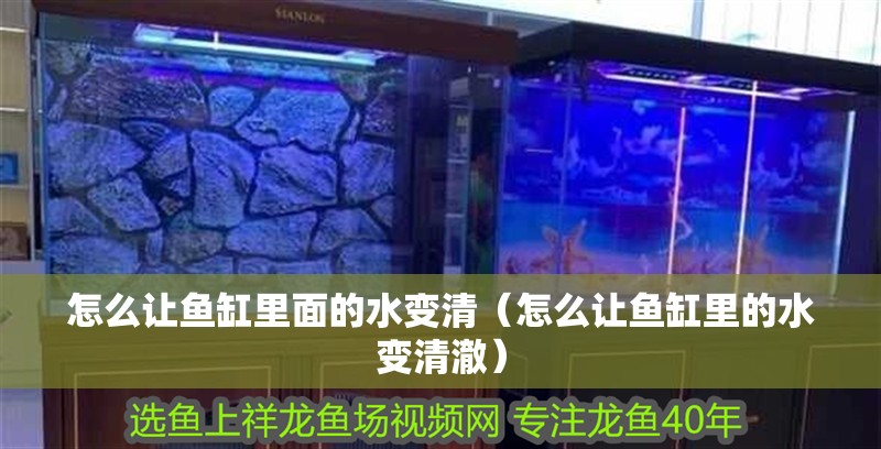 怎么讓魚缸里面的水變清（怎么讓魚缸里的水變清澈）