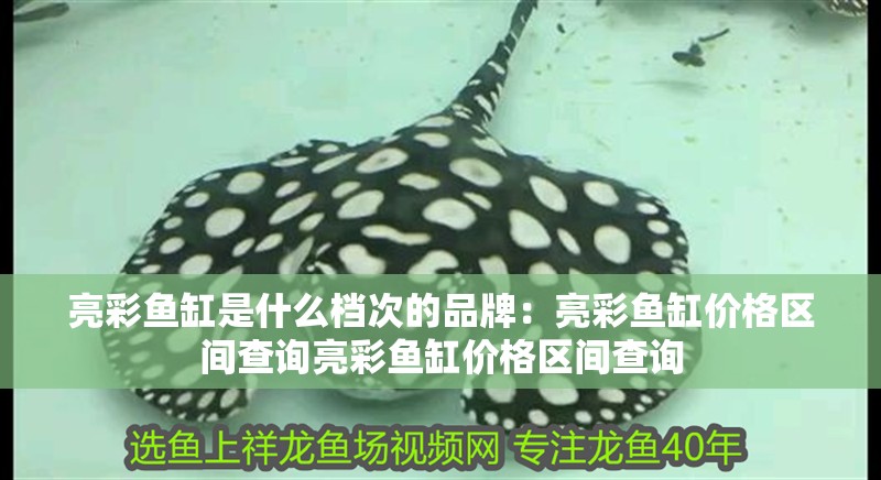 亮彩魚缸是什么檔次的品牌：亮彩魚缸價格區(qū)間查詢亮彩魚缸價格區(qū)間查詢