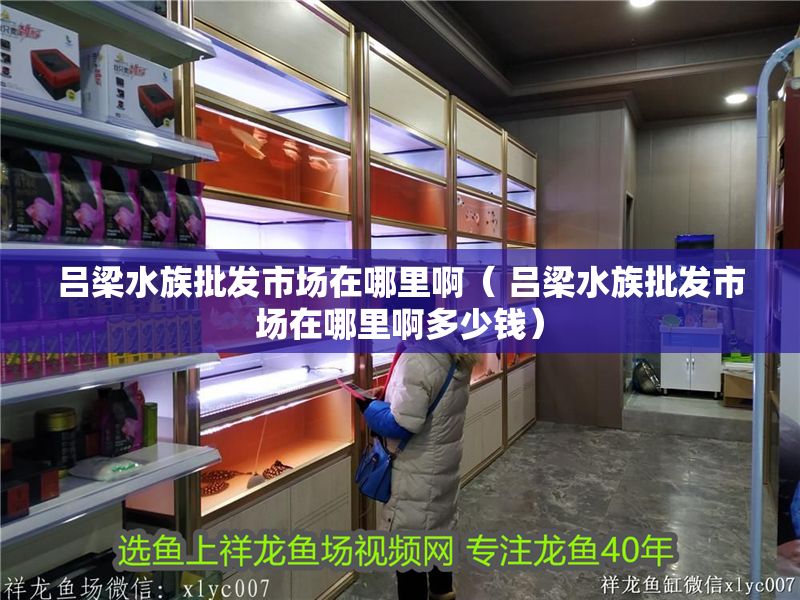 呂梁水族批發(fā)市場在哪里啊（ 呂梁水族批發(fā)市場在哪里啊多少錢）