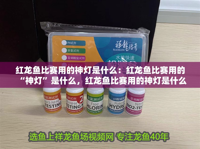 紅龍魚比賽用的神燈是什么：紅龍魚比賽用的“神燈”是什么，紅龍魚比賽用的神燈是什么