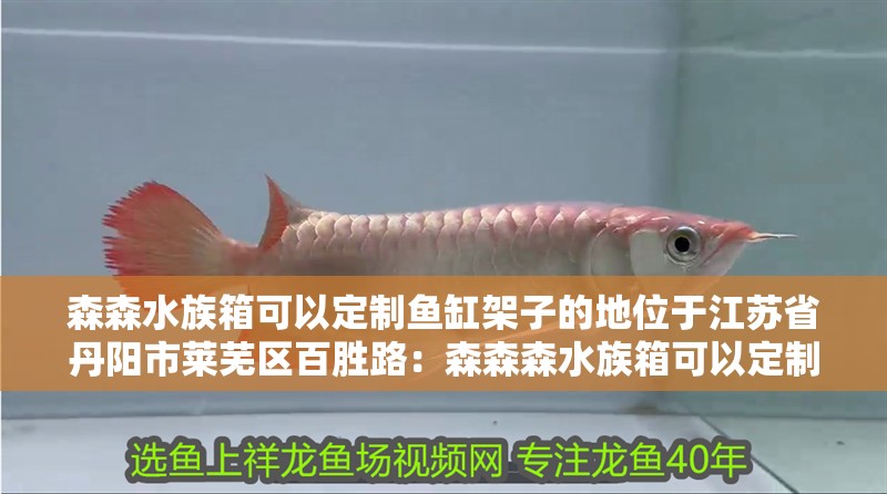 森森水族箱可以定制魚缸架子的地位于江蘇省丹陽市萊蕪區(qū)百勝路：森森森水族箱可以定制魚缸架子的地位于江蘇省丹陽市開發(fā)區(qū)百勝路