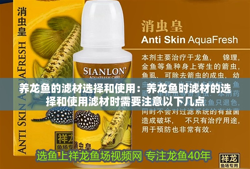 養(yǎng)龍魚的濾材選擇和使用：養(yǎng)龍魚時濾材的選擇和使用濾材時需要注意以下幾點(diǎn)