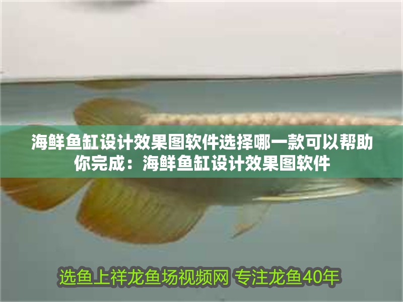 海鮮魚缸設計效果圖軟件選擇哪一款可以幫助你完成：海鮮魚缸設計效果圖軟件
