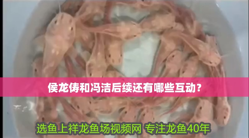 侯龍儔和馮潔后續還有哪些互動？