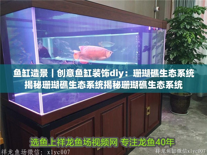 魚缸造景｜創意魚缸裝飾diy：珊瑚礁生態系統揭秘珊瑚礁生態系統揭秘珊瑚礁生態系統