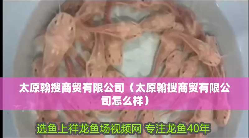 太原翰搜商貿(mào)有限公司（太原翰搜商貿(mào)有限公司怎么樣）