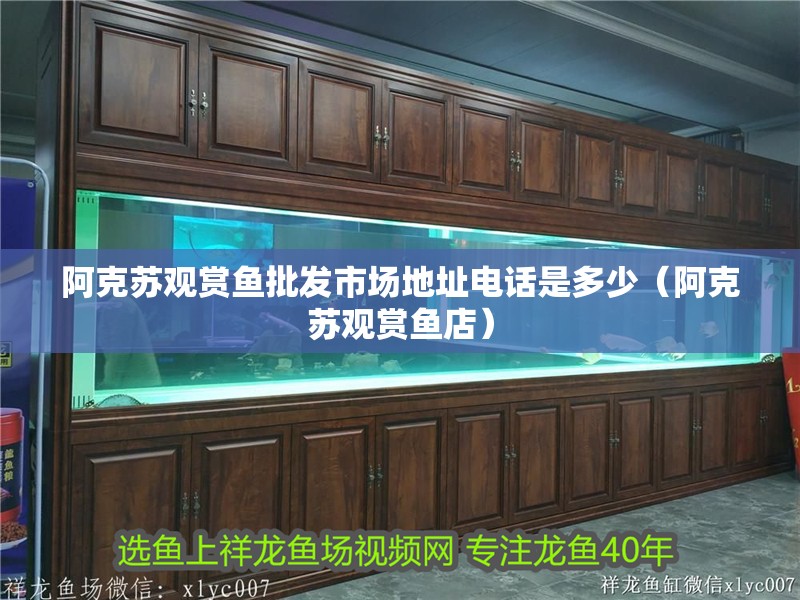 阿克蘇觀賞魚批發市場地址電話是多少（阿克蘇觀賞魚店）
