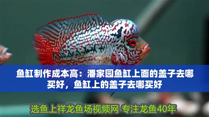 魚缸制作成本高：潘家園魚缸上面的蓋子去哪買好，魚缸上的蓋子去哪買好