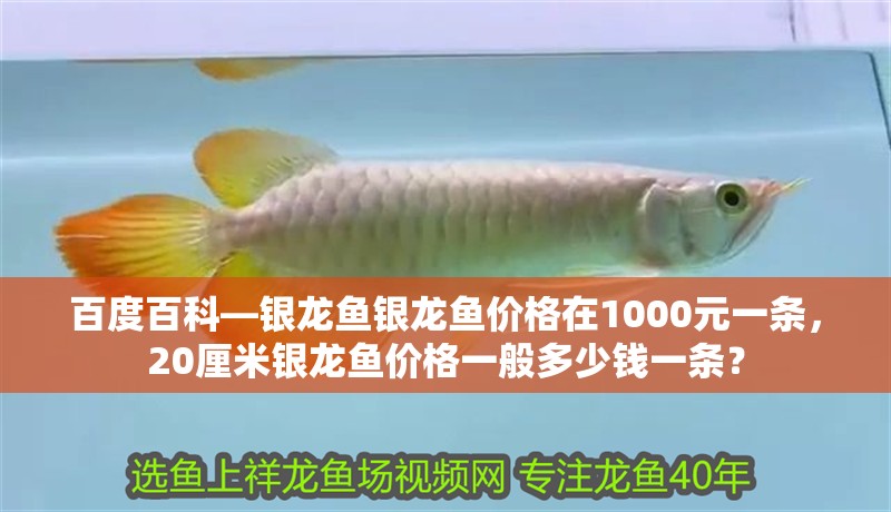 魚缸用增氧泵價(jià)格是多少:魚缸增氧機(jī)-xtrac增氧機(jī)-xtrac增氧機(jī) 百度百科—銀龍魚銀龍魚價(jià)格在1000元一條,20厘米銀龍魚價(jià)格一般多少錢一條? 銀龍魚百科 百度百科—銀龍魚銀龍魚價(jià)格在1000元一條,20厘米銀龍魚價(jià)格一般多少錢一條? 百度百科—銀龍魚銀龍魚價(jià)格在1000元一條,20厘米銀龍魚價(jià)格一般多少錢一條? 銀龍魚百科