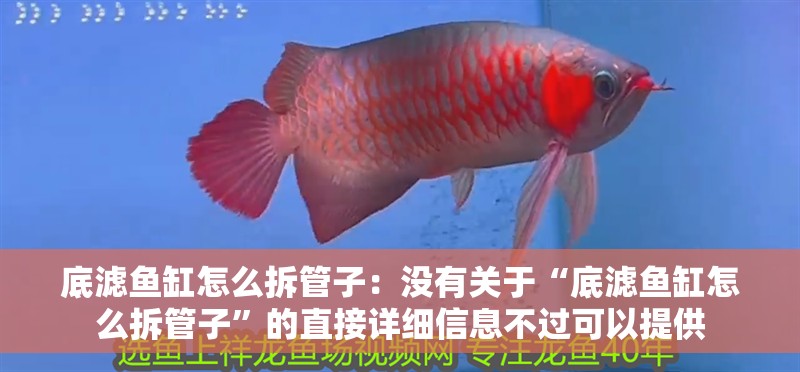 底濾魚缸怎么拆管子：沒有關于“底濾魚缸怎么拆管子”的直接詳細信息不過可以提供