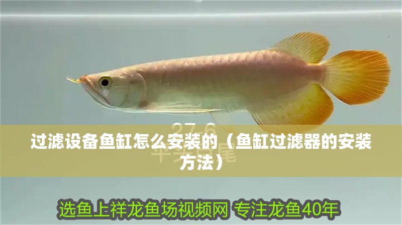 過濾設(shè)備魚缸怎么安裝的（魚缸過濾器的安裝方法）