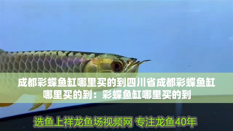成都彩蝶魚缸哪里買的到<strong><mark>四川</mark></strong>省成都彩蝶魚缸哪里買的到：彩蝶魚缸哪里買的到