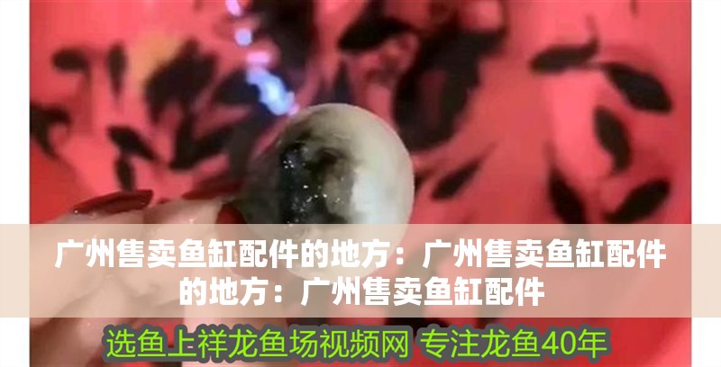 廣州售賣魚缸配件的地方：廣州售賣魚缸配件的地方：廣州售賣魚缸配件