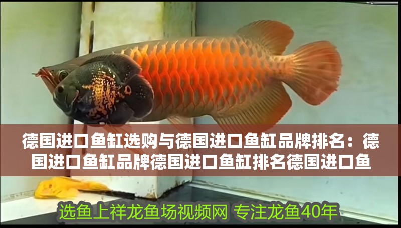 德國進口魚缸選購與德國進口魚缸品牌排名：德國進口魚缸品牌德國進口魚缸排名德國進口魚缸排名