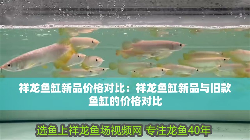 祥龍魚缸新品價格對比：祥龍魚缸新品與舊款魚缸的價格對比