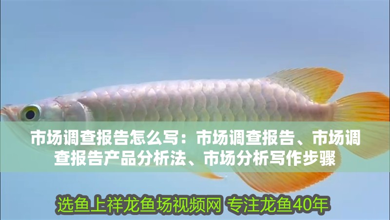 市場調(diào)查報告怎么寫：市場調(diào)查報告、市場調(diào)查報告產(chǎn)品分析法、市場分析寫作步驟