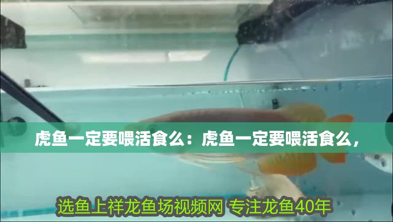 虎魚一定要喂活食么：虎魚一定要喂活食么，