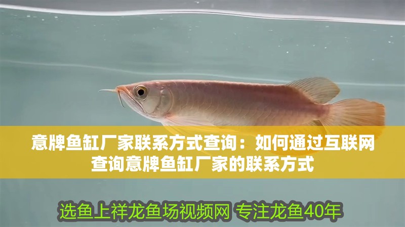 意牌魚缸廠家聯(lián)系方式查詢：如何通過互聯(lián)網(wǎng)查詢意牌魚缸廠家的聯(lián)系方式