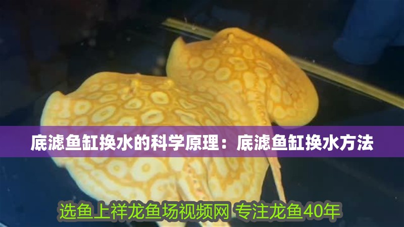 底濾魚缸換水的科學原理：底濾魚缸換水方法