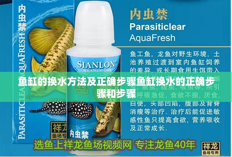 魚缸的換水方法及正確步驟魚缸換水的正確步驟和步驟 魚缸的換水方法及正確步驟魚缸換水的正確步驟和步驟 銀龍魚百科