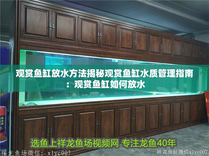觀賞魚缸放水方法揭秘觀賞魚缸水質管理指南：觀賞魚缸如何放水