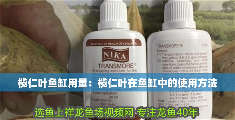 龍魚干蝦有營養嗎 欖仁葉魚缸用量:欖仁葉在魚缸中的使用方法 魚缸百科 欖仁葉魚缸用量:欖仁葉在魚缸中的使用方法 欖仁葉魚缸用量:欖仁葉在魚缸中的使用方法 魚缸百科
