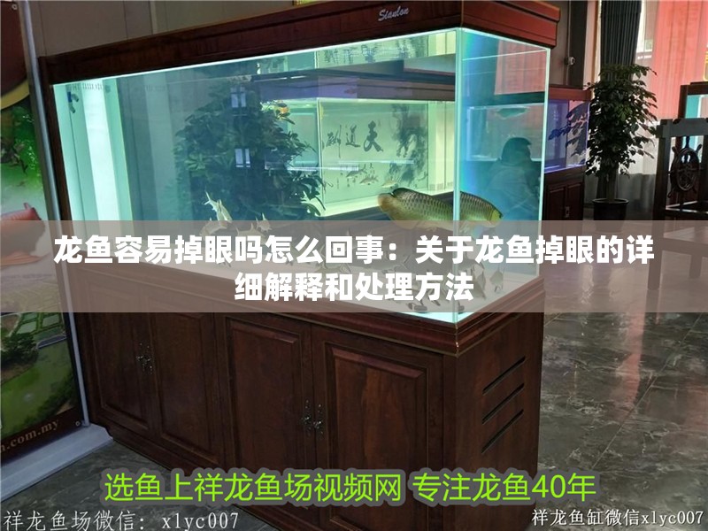 龍魚容易掉眼嗎怎么回事：關于龍魚掉眼的詳細解釋和處理方法