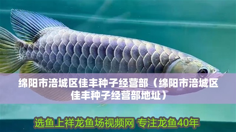 給大魚缸換水的作文:體驗(yàn)給大魚缸換水的樂趣:體驗(yàn)給大魚缸換水:給大魚缸換水的作文 綿陽(yáng)市涪城區(qū)佳豐種子經(jīng)營(yíng)部(綿陽(yáng)市涪城區(qū)佳豐種子經(jīng)營(yíng)部地址) 全國(guó)水族館企業(yè)名錄 綿陽(yáng)市涪城區(qū)佳豐種子經(jīng)營(yíng)部(綿陽(yáng)市涪城區(qū)佳豐種子經(jīng)營(yíng)部地址) 綿陽(yáng)市涪城區(qū)佳豐種子經(jīng)營(yíng)部(綿陽(yáng)市涪城區(qū)佳豐種子經(jīng)營(yíng)部地址) 全國(guó)水族館企業(yè)名錄