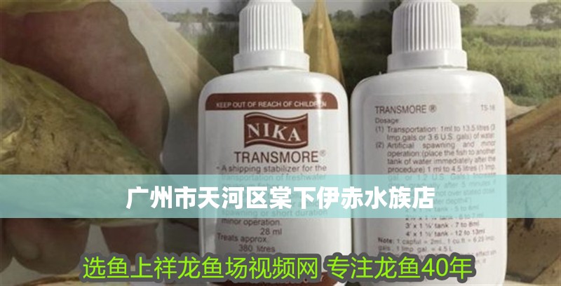 廣州市<strong><mark>天河</mark></strong>區棠下伊赤水族店