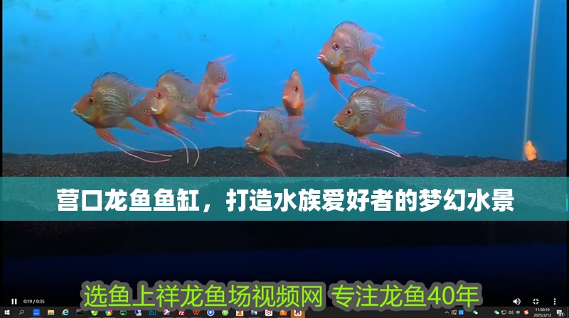 營口龍魚魚缸，打造水族愛好者的夢幻水景