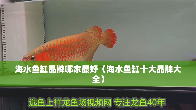 海水魚缸品牌哪家最好（海水魚缸十大品牌大全）
