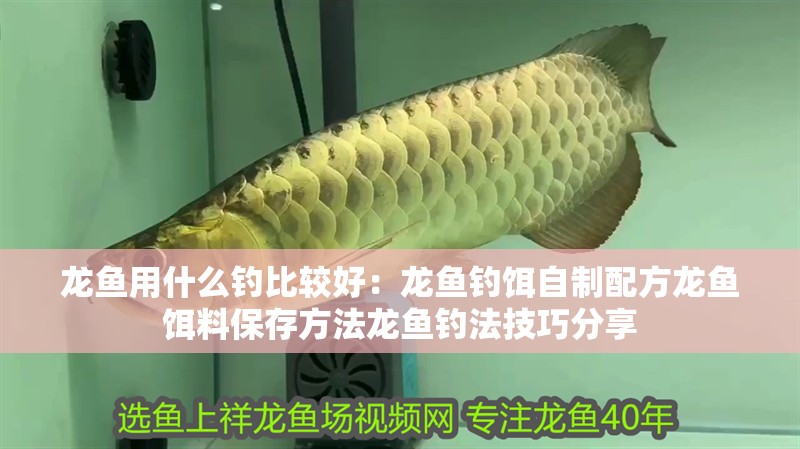 龍魚用什么釣比較好：龍魚釣餌自制配方龍魚餌料保存方法龍魚釣法技巧分享